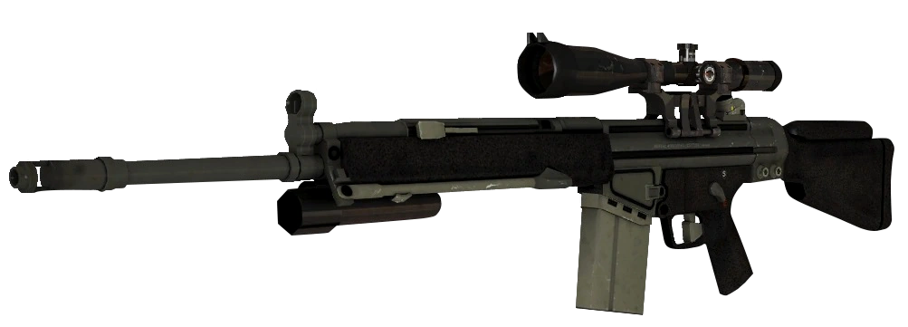 SG 556